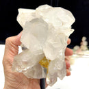 Clear Quartz Cluster on Stand