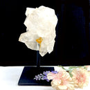 Clear Quartz Cluster on Stand