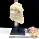 Clear Quartz Cluster on Stand