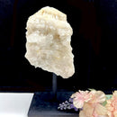 Clear Quartz Cluster on Stand