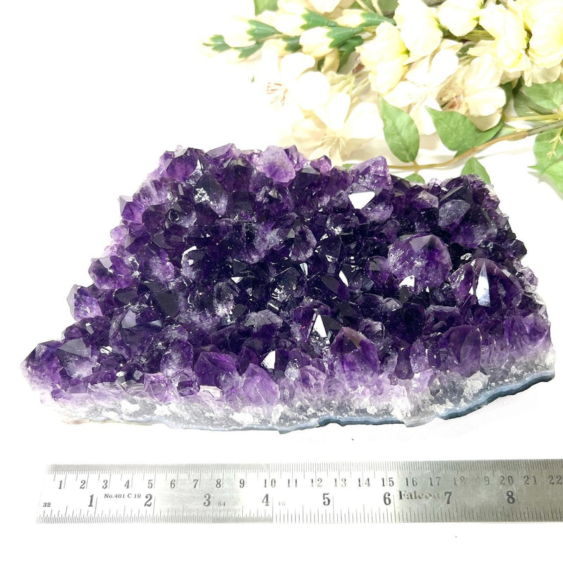 Large Amethyst Clusters in AAA Extra Quality from Brazil