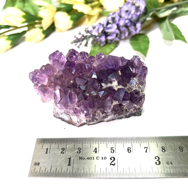 Natural Amethyst Clusters in AAA Extra Quality (Option Wise)