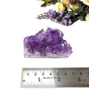 Natural Amethyst Clusters in AAA Extra Quality (Option Wise)