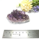 Natural Amethyst Clusters in AAA Extra Quality (Option Wise)