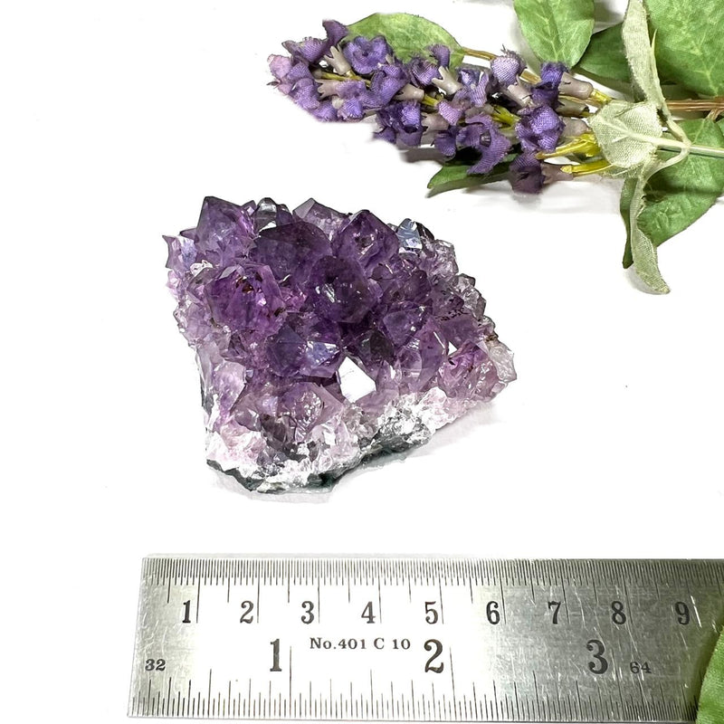 Natural Amethyst Clusters in AAA Extra Quality (Option Wise)