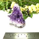 Standing Amethyst Clusters from Uruguay AAA Quality (High Vibrations)