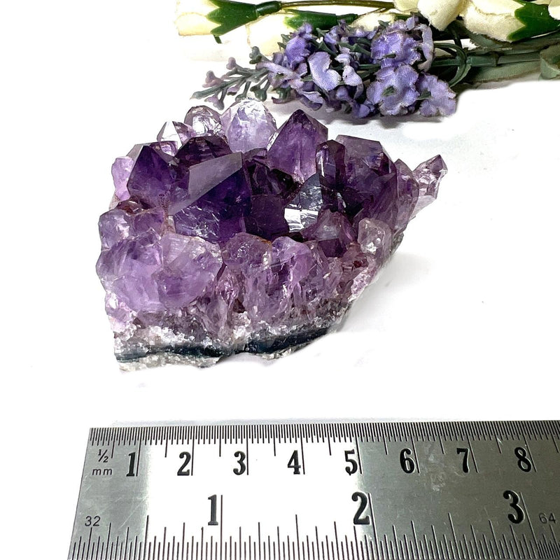 Natural Amethyst Clusters in AAA Extra Quality (Option Wise)