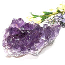 Natural Amethyst Clusters in AAA Extra Quality (Option Wise)