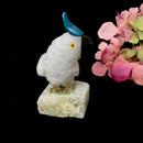 Crystal Cockatoo Birds from Peru