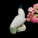 Crystal Cockatoo Birds from Peru