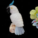Crystal Cockatoo Birds from Peru