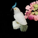 Crystal Cockatoo Birds from Peru