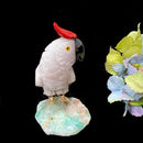 Crystal Cockatoo Birds from Peru
