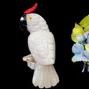 Crystal Cockatoo Birds from Peru