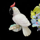 Crystal Cockatoo Birds from Peru