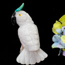 Crystal Cockatoo Birds from Peru