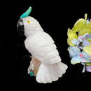 Crystal Cockatoo Birds from Peru