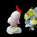 Crystal Cockatoo Birds from Peru