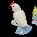 Crystal Cockatoo Birds from Peru
