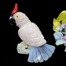 Crystal Cockatoo Birds from Peru