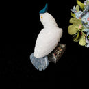 Crystal Cockatoo Birds from Peru