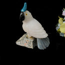 Crystal Cockatoo Birds from Peru