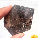 Colus Turitella Slice (Transformation)