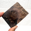 Colus Turitella Slice (Transformation)