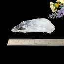 Clear Quartz Lemurians from Colombia (Master Healers)