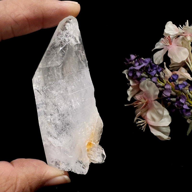 Clear Quartz Lemurians from Colombia (Master Healers)