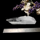 Clear Quartz Lemurians from Colombia (Master Healers)