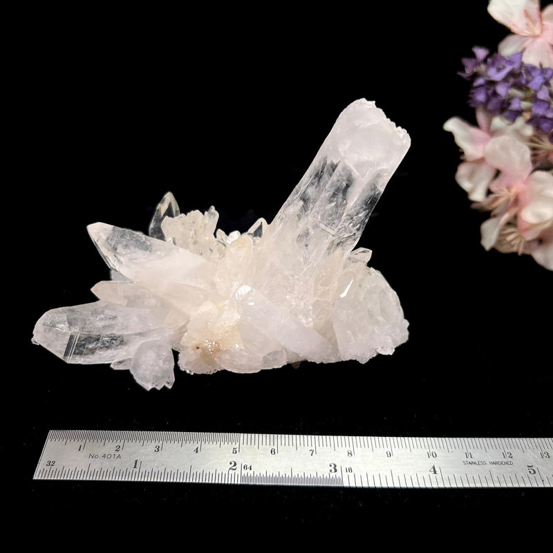 Clear Quartz Lemurians from Colombia (Master Healers)