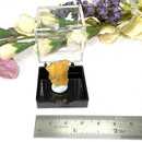 Copal from Madagascar