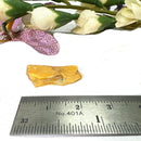 Copal from Madagascar