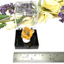 Copal from Madagascar