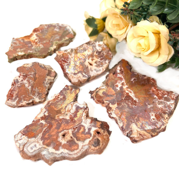 Copper Agate Slice (Balance)