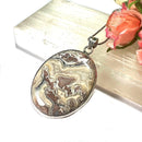 Crazy Lace Agate Pendant in Silver (Stability)
