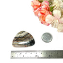 Crazy Lace Agate Cabochon