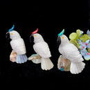 Crystal Cockatoo Birds from Peru