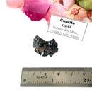 Cuprite Mineral Specimen (Rubtsovskiy Mine, Altaiskiy Krai, Russia)