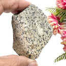 Dalmatian Jasper Rough (Joy & Harmony)