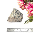 Dalmatian Jasper Rough (Joy & Harmony)