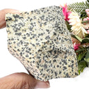 Dalmatian Jasper Rough (Joy & Harmony)