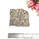 Dalmatian Jasper Rough (Joy & Harmony)