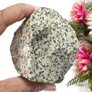 Dalmatian Jasper Rough (Joy & Harmony)