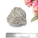 Dalmatian Jasper Rough (Joy & Harmony)