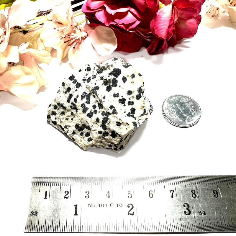 Dalmatian Jasper Rough (Joy & Harmony)