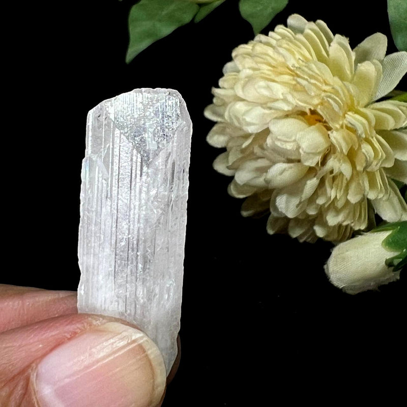 Danburite Rough (Love and Peace)