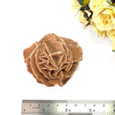 Brown Desert Rose Clusters