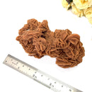 Brown Desert Rose Clusters